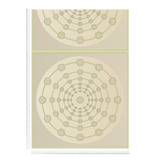 79175-4 Baroque Graphics Modern Versace 6 Wallpaper