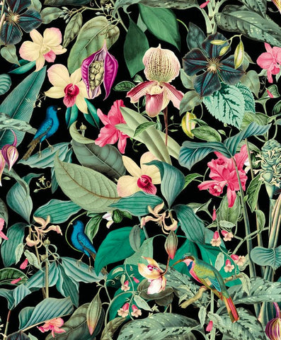 81685 Novamur Mona Floral Blck Green Wallpaper