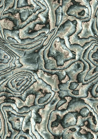 81691 Novamur Mona Graphically Beige Green Grey Wallpaper