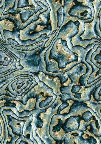 81692 Novamur Mona Graphically Beige Blue Green Wallpaper