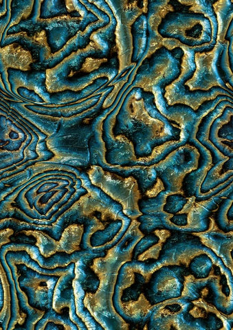 81693 Novamur Mona Graphically Blue Brown Green Wallpaper 