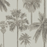8180 92W9091 Contemporary Palm Print Wallpaper