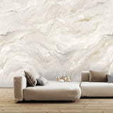 8241 92W9561 Contemporary Marble Mural