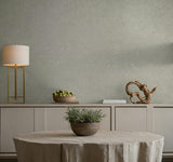 82500 Naomi Plain Plaster Look Gray Wallpaper 