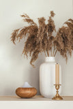 82513 Oriana University Beige Wallpaper 