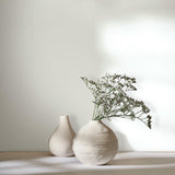 82555 Oriana University White Wallpape