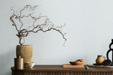 82556 Oriana University Gray Wallpaper