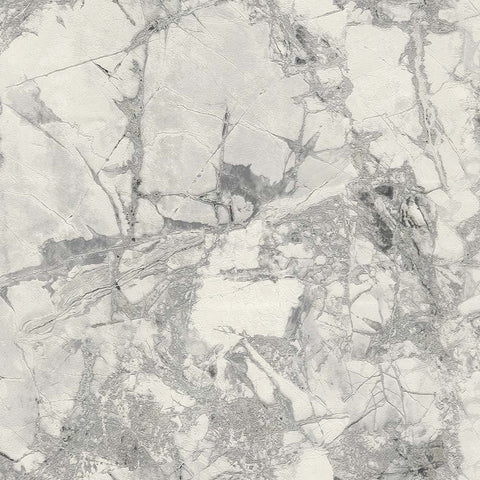 86625X Polvaccio Silver Dust Wallpaper 