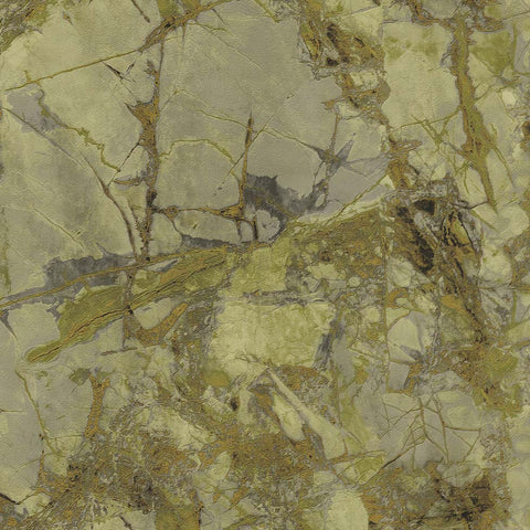 86628X Polvaccio Olive Dust Wallpaper 