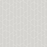 8820 Angle Grey Wallpaper