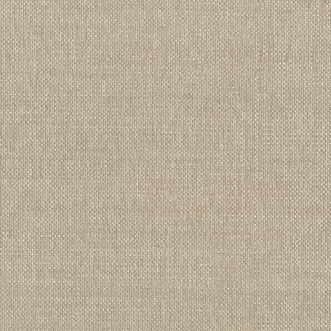 9133 14WS131 Metallic Raffia Grasscloth Texture Wallpaper