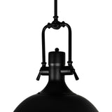 9602P16-1-101 Show 1 Light Down Pendant With Black Finish