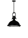 9602P16-1-101 Show 1 Light Down Pendant With Black Finish