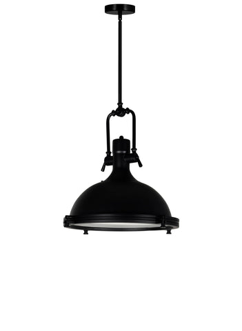 9602P16-1-101 Show 1 Light Down Pendant With Black Finish