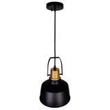 9845P9-101 Elisa 1 Light Down Pendant With Black Finish