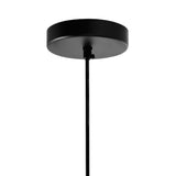 9942P10-1-101-A Alethia 1 Light Down Pendant With Black Finish