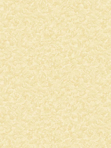 AF41605 Cloud Faux Finish Wallpaper