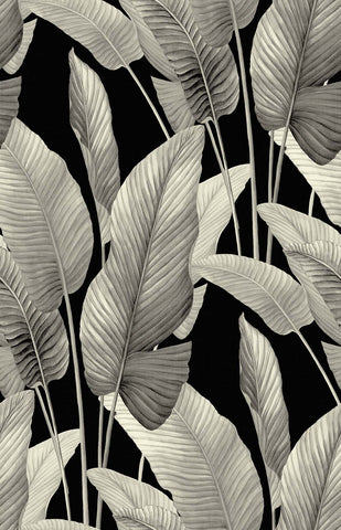AG62000 Mantra Metallic Silver Wallpaper 