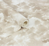 AH100189AH Merryweather Neutral Cloudy Skies Wallpaper