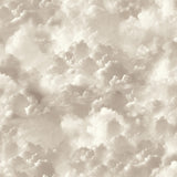 AH100189AH Merryweather Neutral Cloudy Skies Wallpaper
