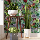 AH259402 Rhea Multicolor Succulents Wallpaper