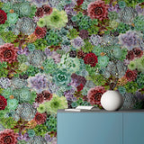 AH259402 Rhea Multicolor Succulents Wallpaper