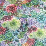 AH259402 Rhea Multicolor Succulents Wallpaper