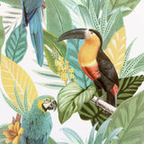 AH296803 Trudie Multicolor Toucan Macaw Wallpaper
