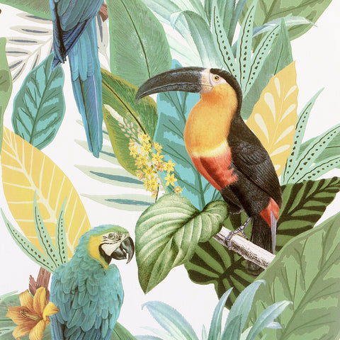 AH296803 Trudie Multicolor Toucan Macaw Wallpaper