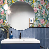 AH297905 Celia Multicolor Tropical Birds Wallpaper