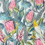 AH297905 Celia Multicolor Tropical Birds Wallpaper