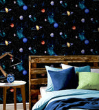 AH668100 Albert Black Cosmos Wallpaper