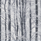AH670200 Frosted Silver Winter Grove Wallpaper