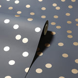 AH685001 Priscella Charcoal Polka Dot Wallpaper