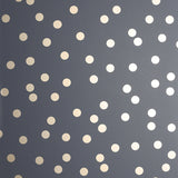 AH685001 Priscella Charcoal Polka Dot Wallpaper