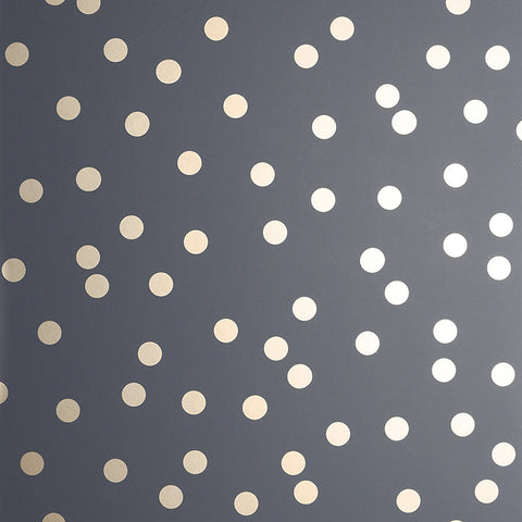 AH685001 Priscella Charcoal Polka Dot Wallpaper