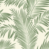 AH694800 Cecil Green Tropical Wallpaper