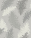 AH901705 Sussurro Grey Feathers Wallpaper