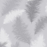 AH901705 Sussurro Grey Feathers Wallpaper