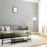AH908905 Victor Grey Plaster Wallpaper