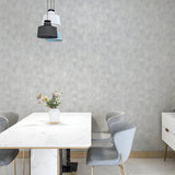 AH908905 Victor Grey Plaster Wallpaper