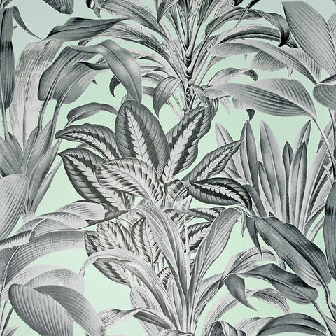 AH909500 Alice Mint Greenhouse Wallpaper
