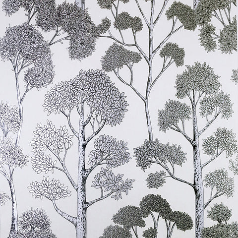 AH909505 Blanche Silver Trees Wallpaper