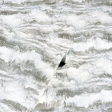 AH921605 Irene Grey Painted Canvas Wallpaper