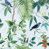 AH921609 Nanette Light Blue Tropical Garden Wallpaper