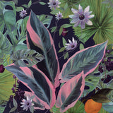 AH921703 Etta Navy Tropical Wallpaper