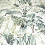 AH922908 Freda Green Palm Trees Wallpaper