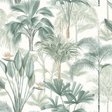 AH922908 Freda Green Palm Trees Wallpaper