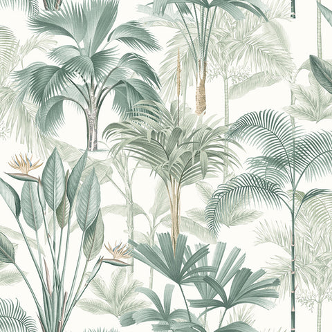AH922908 Freda Green Palm Trees Wallpaper