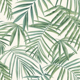 AH923909 Juan Green Palm Leaves Wallpaper